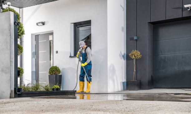 Best Driveway Pressure Washing  in Makakilo, HI